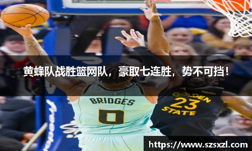 bsports登录入口