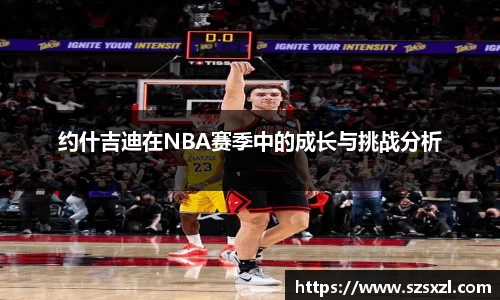 bsports官网登录入口