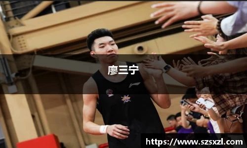 bsports登录入口