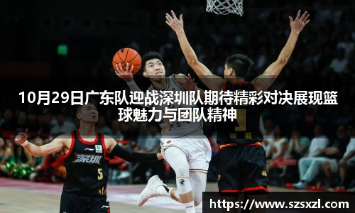 bsports官网入口