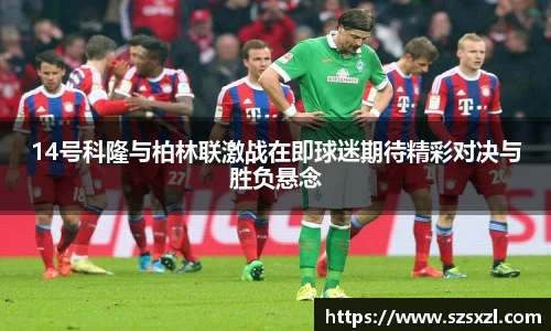 bsports登录入口