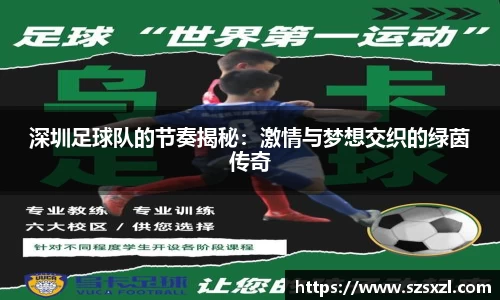 bsports登录入口
