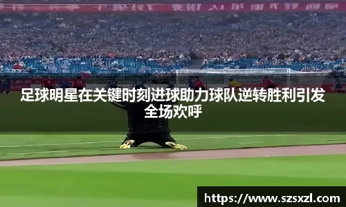 bsports官网登录入口